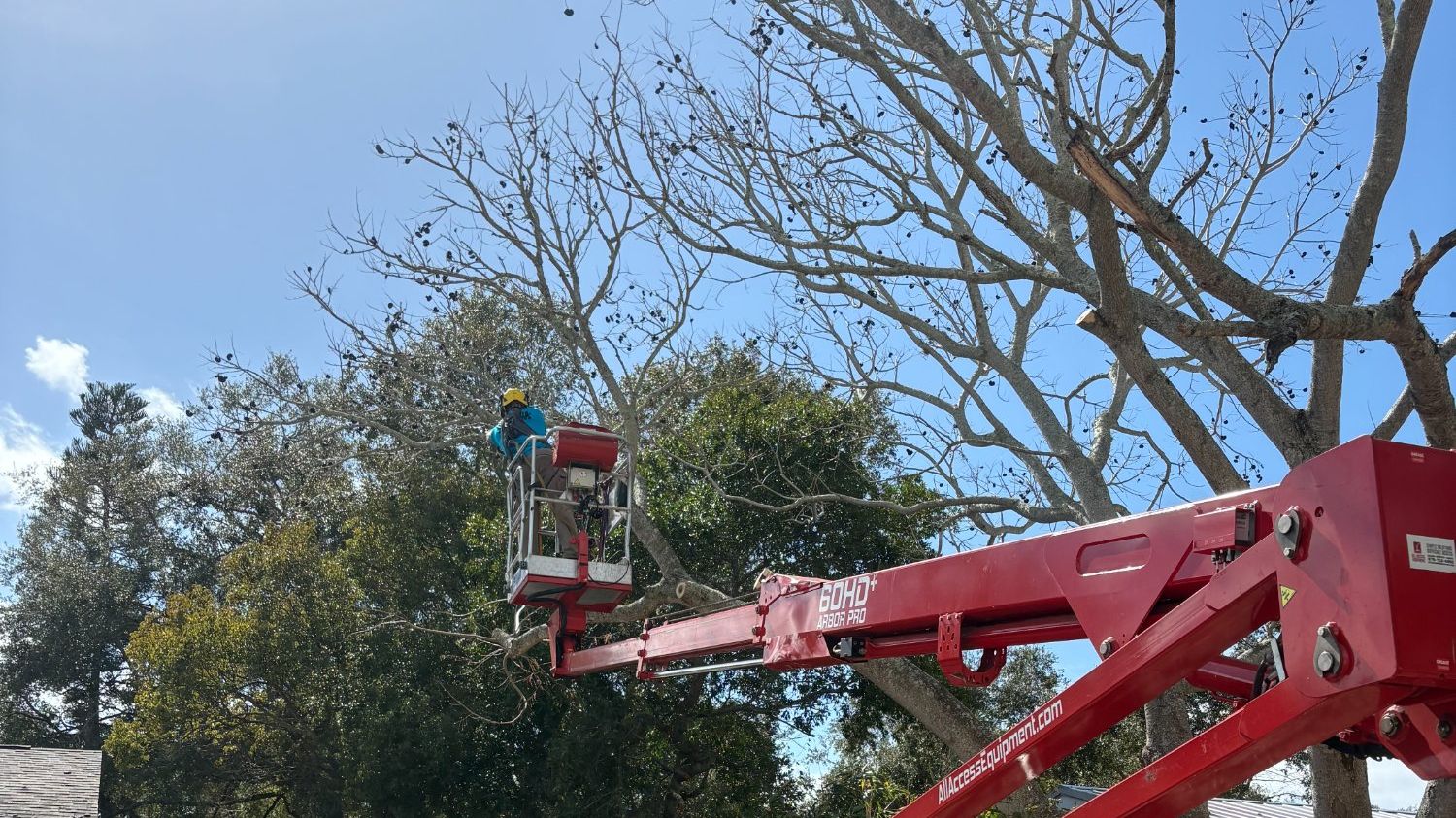 CMC Arbor Pro spider lift extended for tree work at residential property in Brevard County Florida